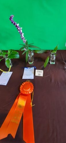 FS 2024 horticultue 2_ 20240404_121313