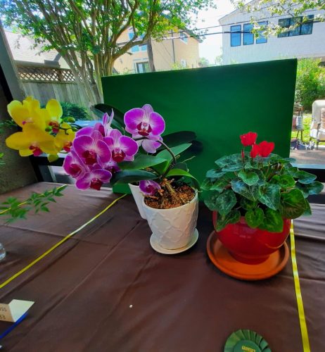 FS 2024 horticulture container grown_ 20240404_121745~2